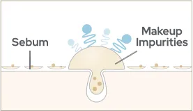 Sebum | Makeup impurities